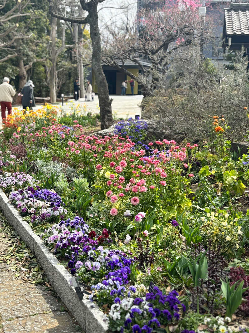 ゆうたさんのよみうりランド眺望温泉 花景の湯のサ活写真