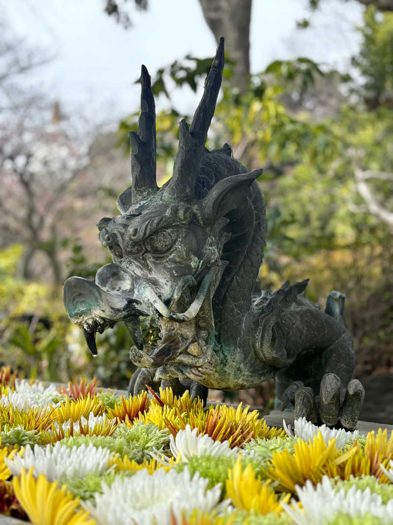 ゆうたさんのよみうりランド眺望温泉 花景の湯のサ活写真