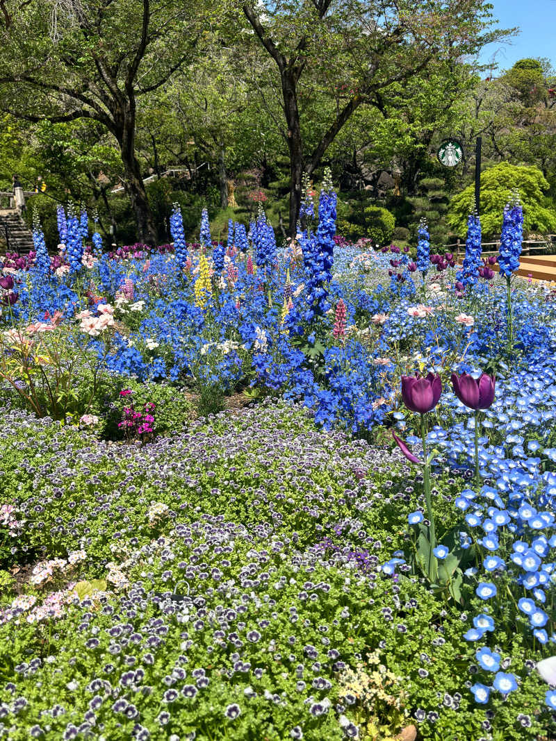 ゆうたさんのよみうりランド眺望温泉 花景の湯のサ活写真