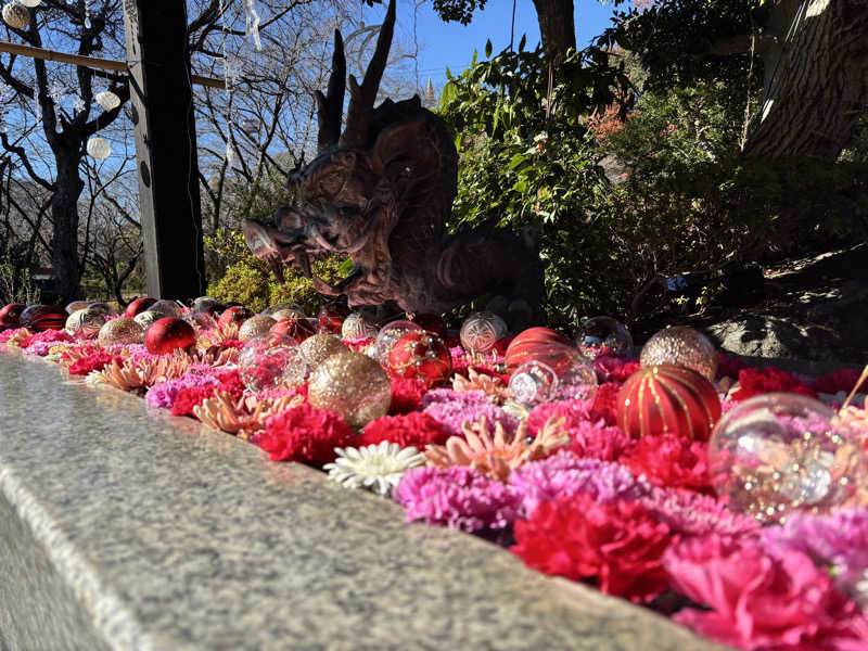 ゆうたさんのよみうりランド眺望温泉 花景の湯のサ活写真