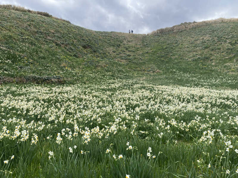 ふーたんさんの下賀茂温泉 銀の湯会館のサ活写真