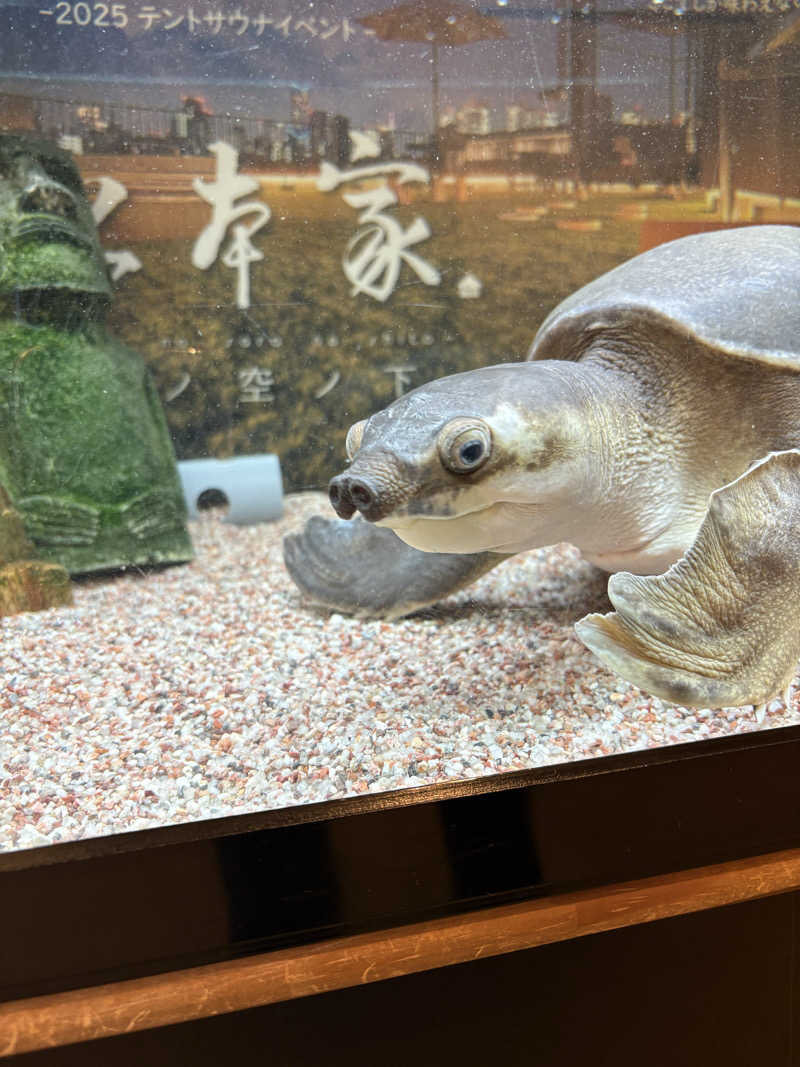 亀湯戸さんの松本湯のサ活写真