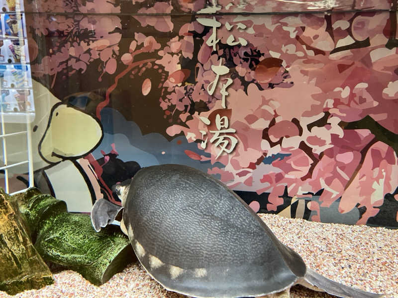 ふぁうんてんさんの松本湯のサ活写真