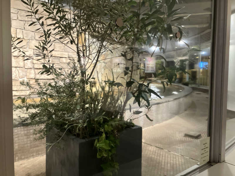 ふぁうんてんさんのタイムズ スパ・レスタのサ活写真