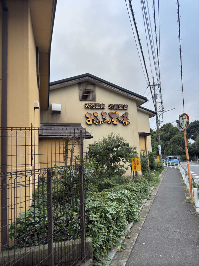 のぶさんのおふろの王様 花小金井店のサ活写真