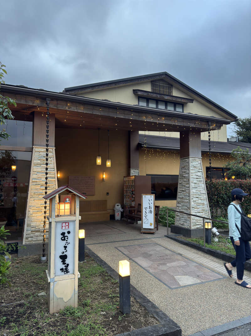 のぶさんのおふろの王様 花小金井店のサ活写真