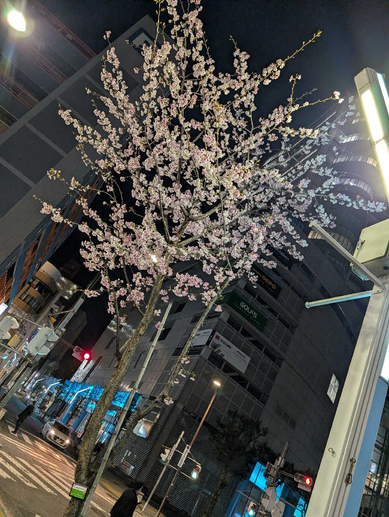 Jimmy pageさんのウェルビー栄のサ活写真