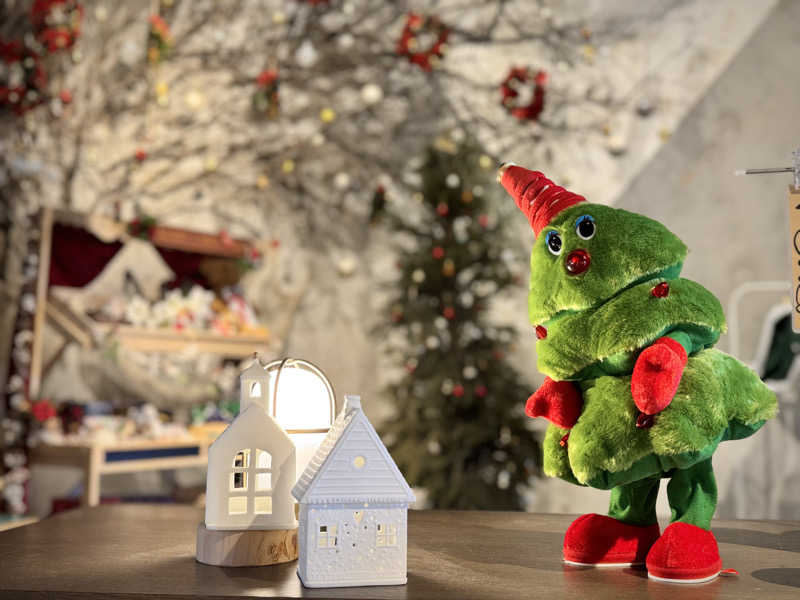 みかん🍊月刊サウナさんのおふろcafé ハレニワの湯のサ活写真