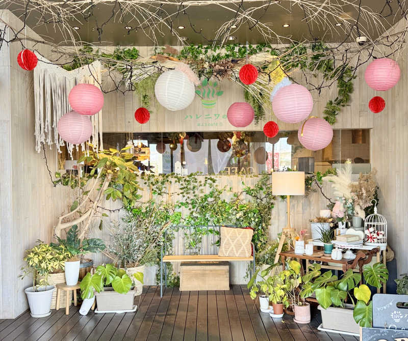 みかん🍊月刊サウナさんのおふろcafé ハレニワの湯のサ活写真