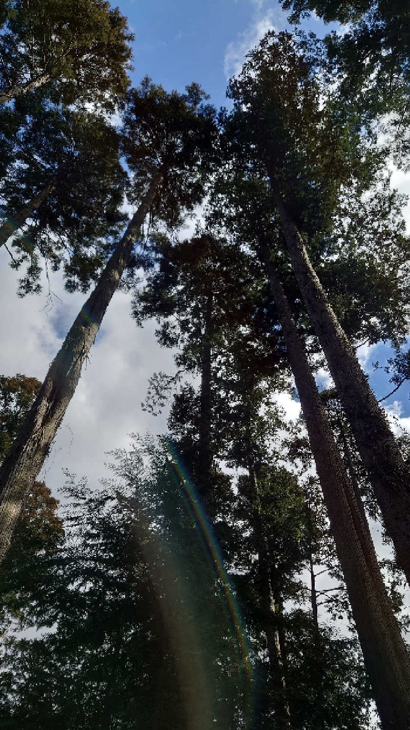 chikaさんのRender Fika Sammuのサ活写真