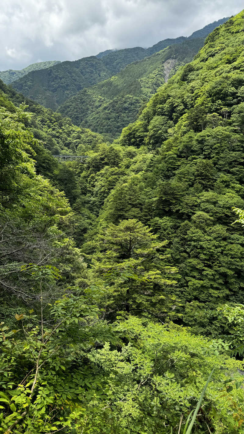 クッキングパパさんのサウナ寸又峡 -TripTrain-のサ活写真