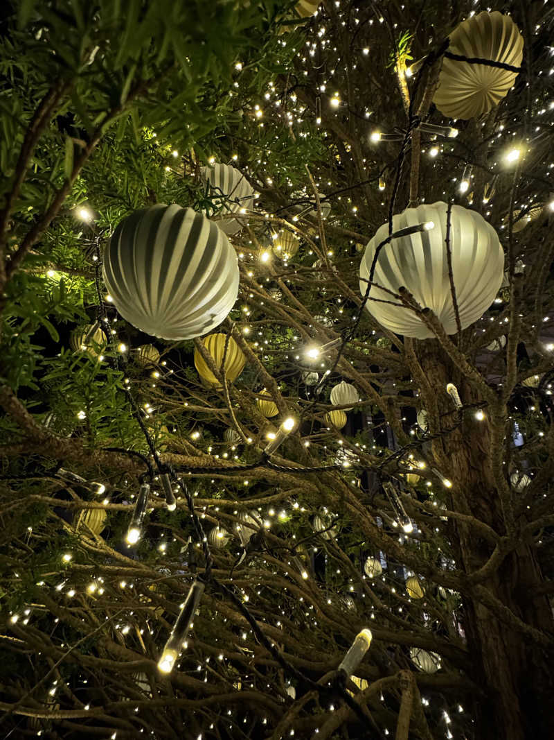 クッキングパパさんの東急ハーヴェストクラブVIALA鬼怒川渓翠のサ活写真