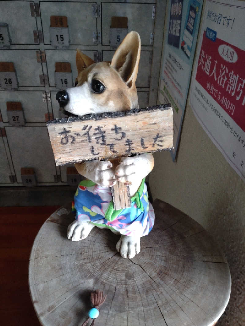 shigezoさんの照の湯のサ活写真