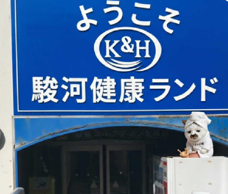 MKさんの駿河健康ランドのサ活写真