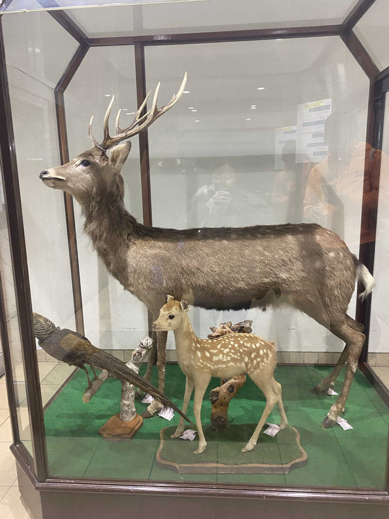 Steem cat ogtさんの秋山温泉のサ活写真