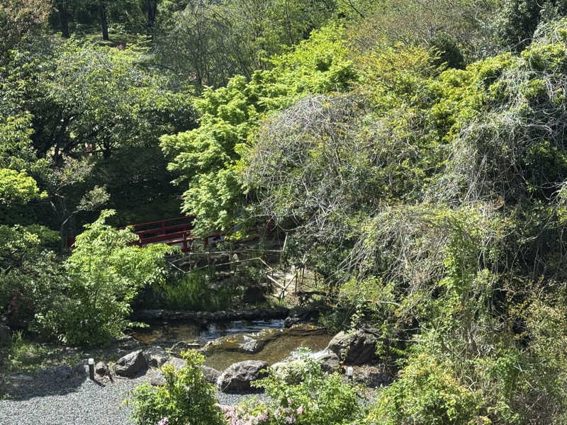 まさひろさんのよみうりランド眺望温泉 花景の湯のサ活写真