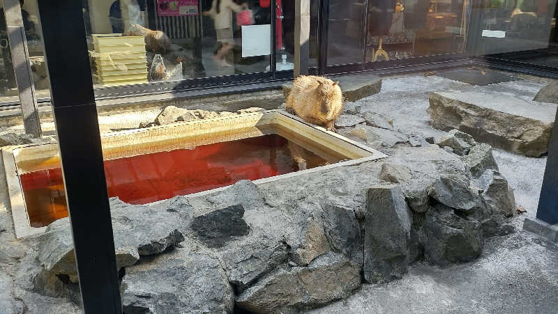 ぁっιさんの石狩天然温泉 番屋の湯のサ活写真