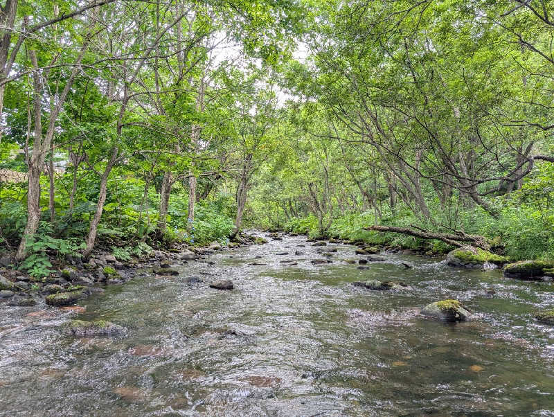 ぁっιさんの旅房はなえみのサ活写真
