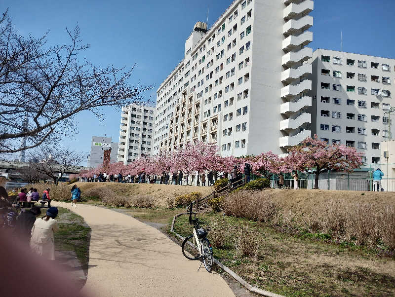 それこれさんの東京天然温泉 古代の湯のサ活写真