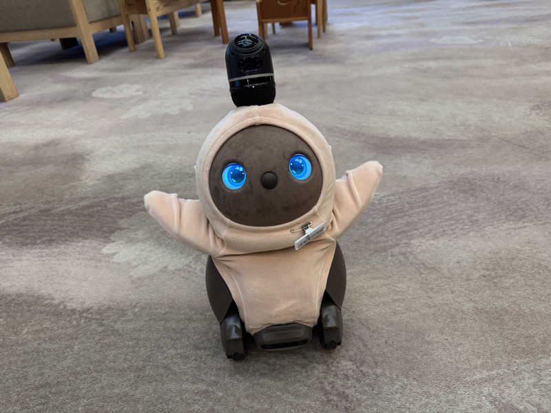 あっちゃんさんの伊香保温泉 福一のサ活写真