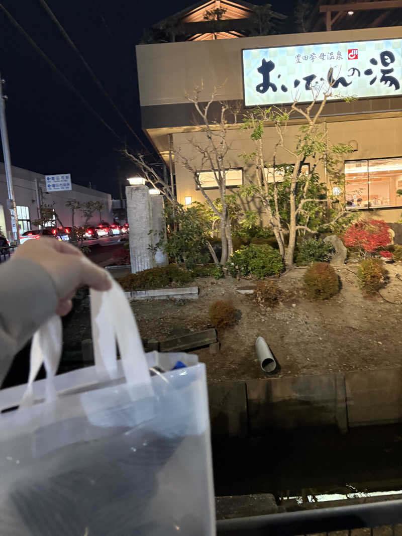 Hoshi-Comingさんの豊田挙母温泉 おいでんの湯のサ活写真