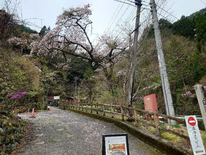 Sさんのサウナ寸又峡 -TripTrain-のサ活写真