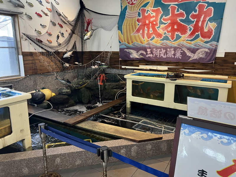 ひらじょにさんの天然温泉 海辺の湯のサ活写真