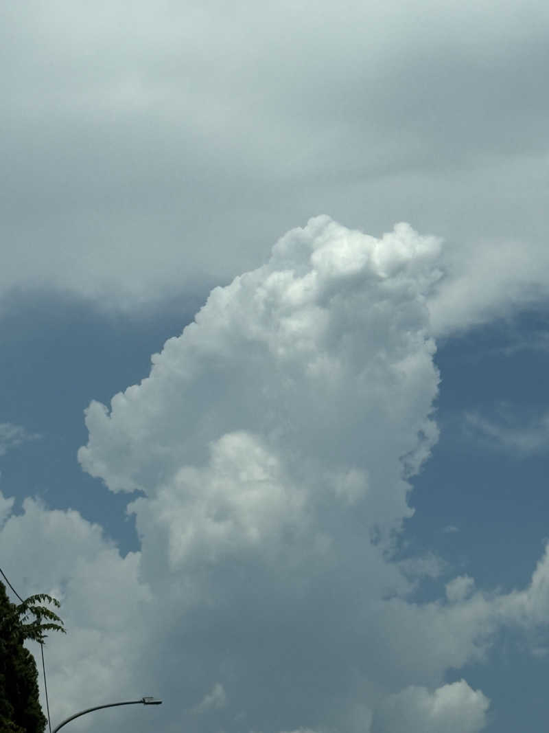 北関東サウナー　〜第二章〜さんのさぷらすのサ活写真