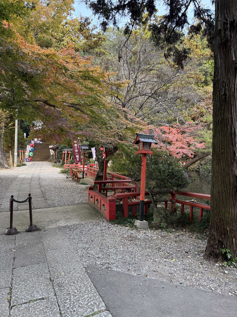 北関東サウナー　熱波人、モモンガヒロキさんのスーパー銭湯 小山やすらぎの湯のサ活写真