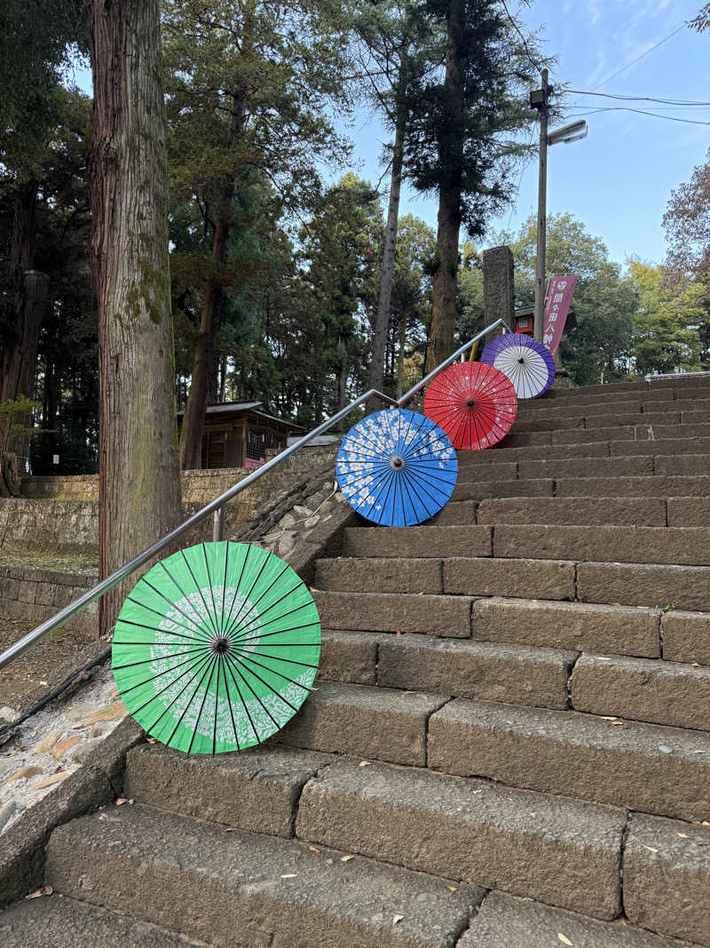 北関東サウナー　熱波人、モモンガヒロキさんのスーパー銭湯 小山やすらぎの湯のサ活写真
