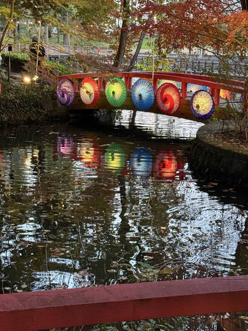 北関東サウナー　熱波人、モモンガヒロキさんのスーパー銭湯 小山やすらぎの湯のサ活写真