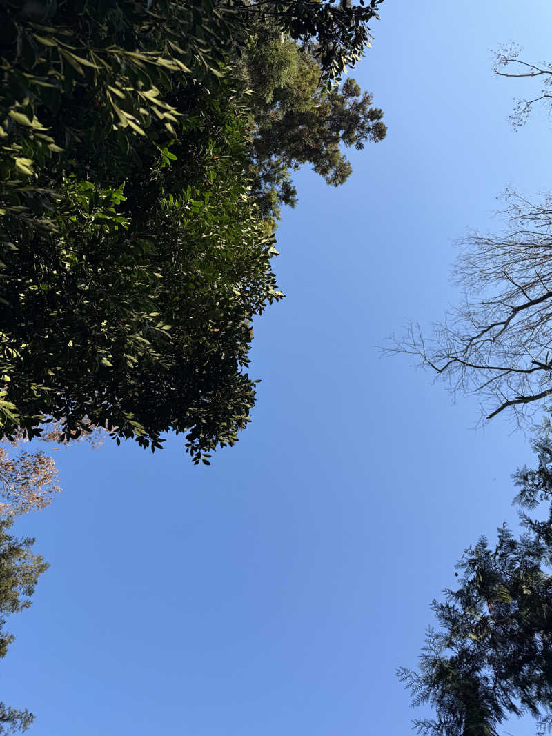 北関東サウナー　熱波人、モモンガヒロキさんのサウナ蓑蒸のサ活写真