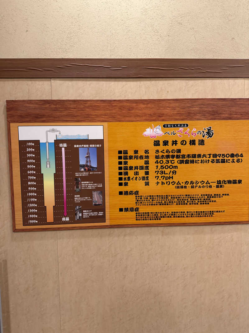 北関 kitakan &momongerさんの宇都宮天然温泉 ベルさくらの湯のサ活写真