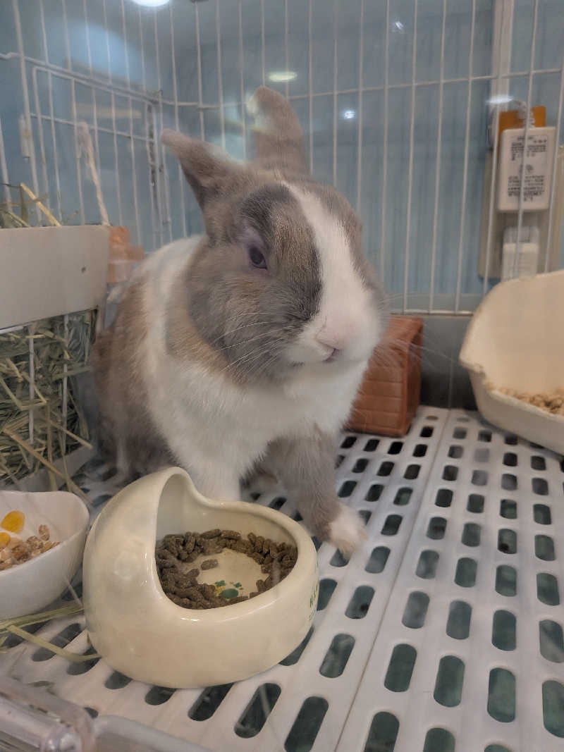 黒岩圭介さんのアクアリゾート 岐阜ふじの湯のサ活写真