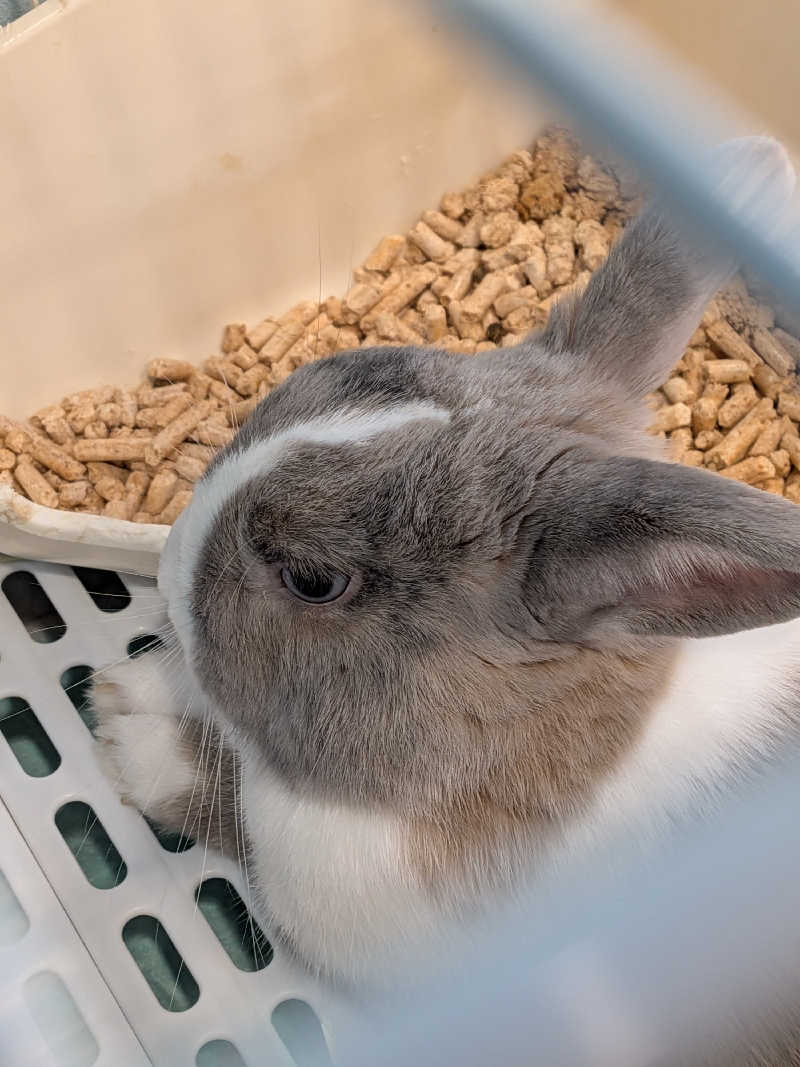 黒岩圭介さんのアクアリゾート 岐阜ふじの湯のサ活写真