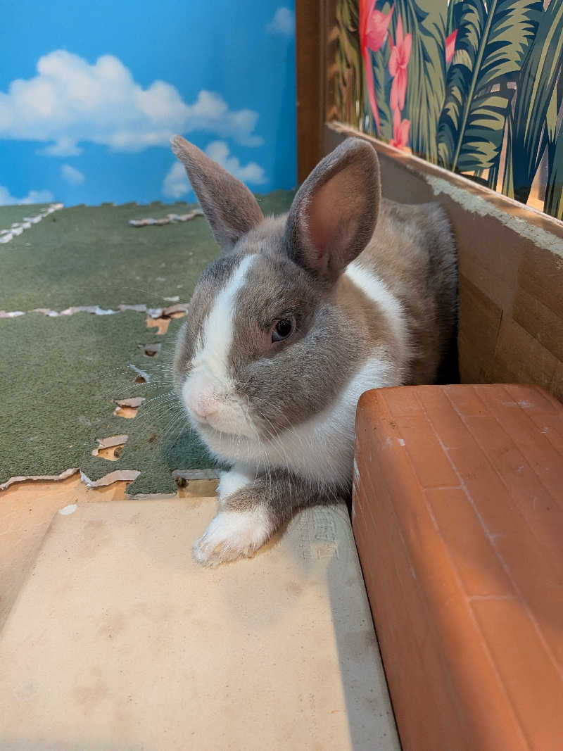 黒岩圭介さんのアクアリゾート 岐阜ふじの湯のサ活写真