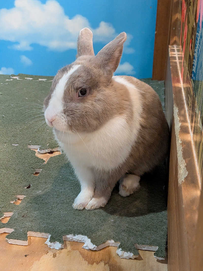 黒岩圭介さんのアクアリゾート 岐阜ふじの湯のサ活写真