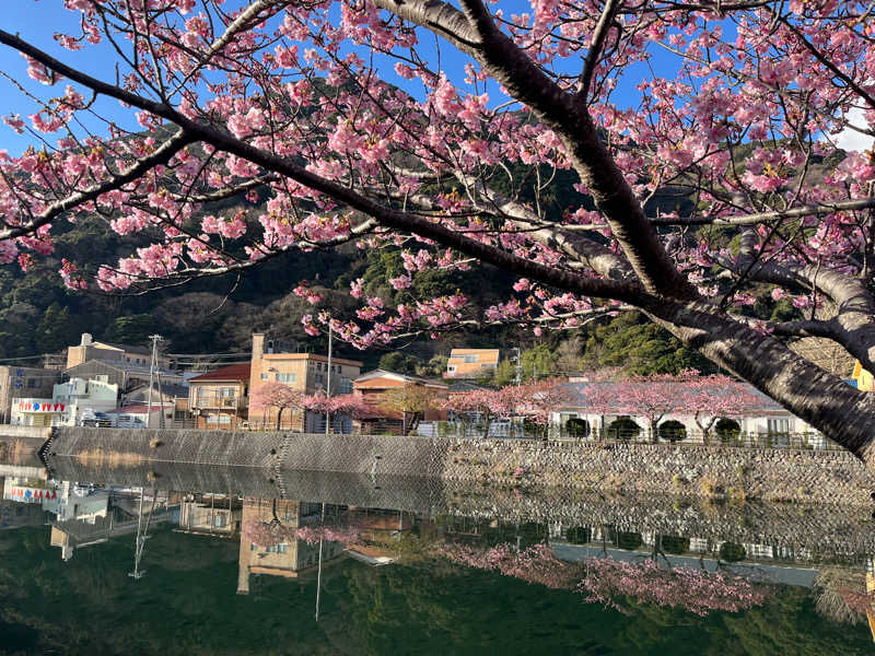 kanaさんの大滝温泉 天城荘のサ活写真