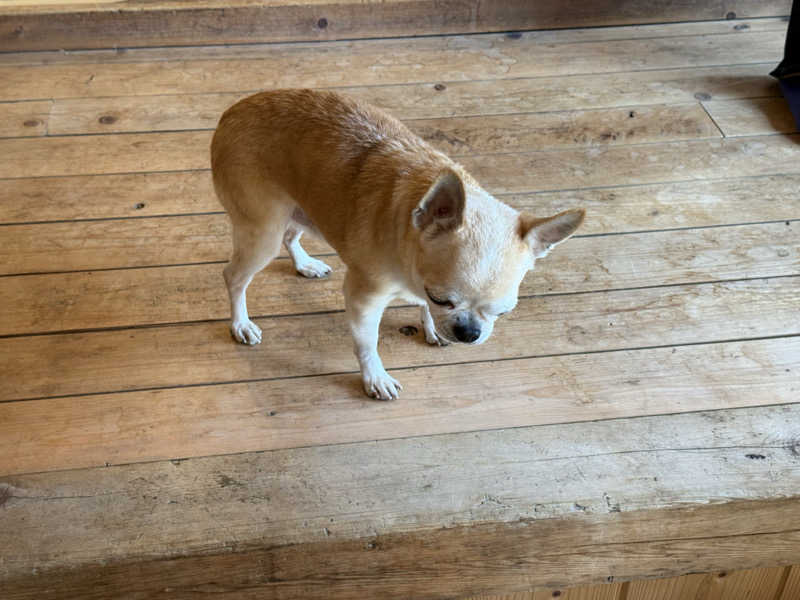 TAKUさんの野岩SAUNAのサ活写真