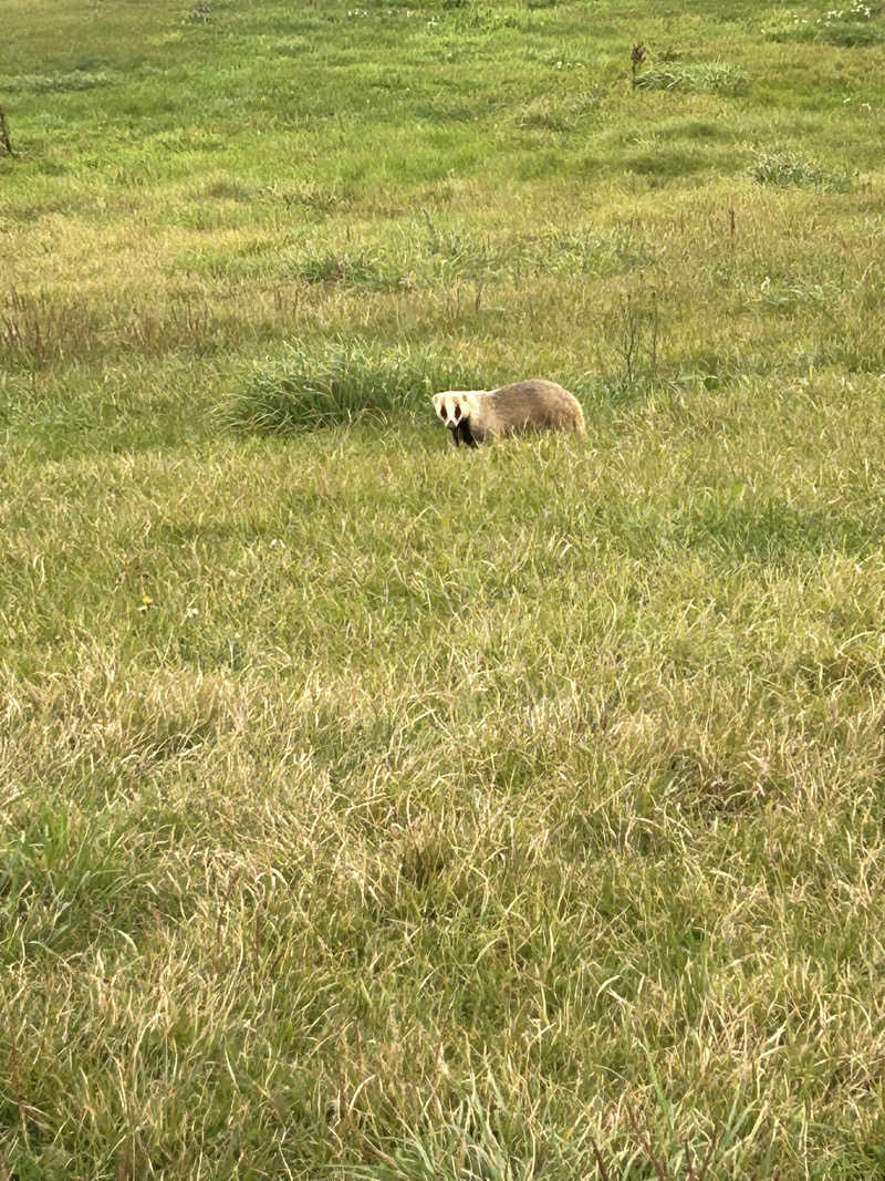 ふにさんの星降る山荘  七時雨山荘のサ活写真