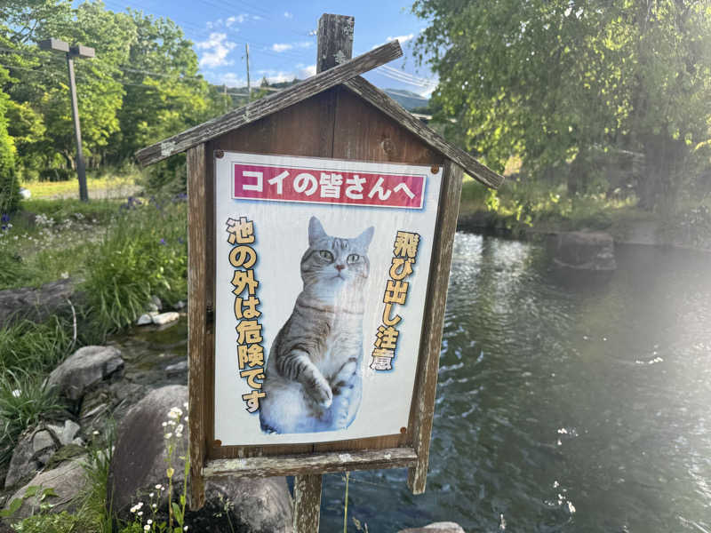 ぎょうざちゃんさんの奥平温泉 遊神館のサ活写真