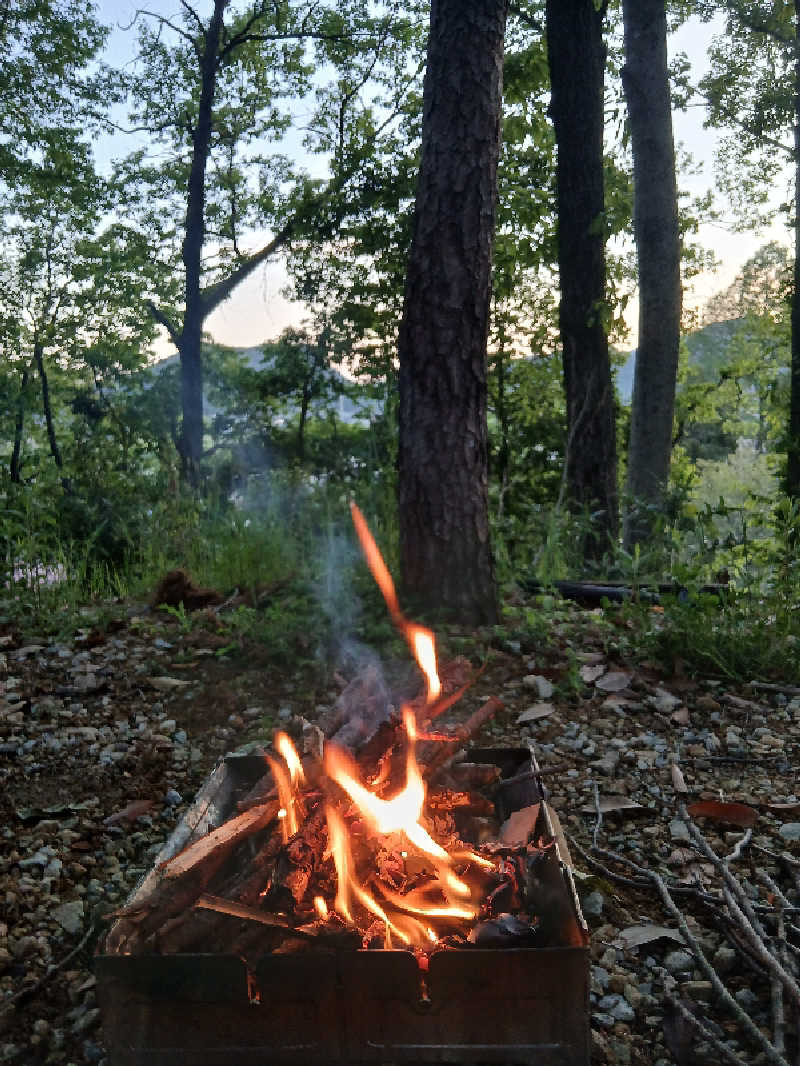むしおじんさんの丹波市立薬草薬樹公園 丹波の湯のサ活写真