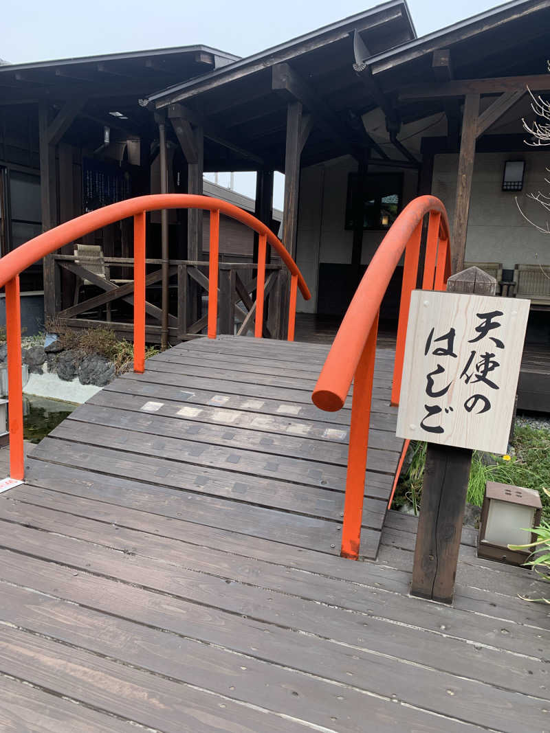 あゆぼん。さんの天然自家源泉 星音の湯のサ活写真
