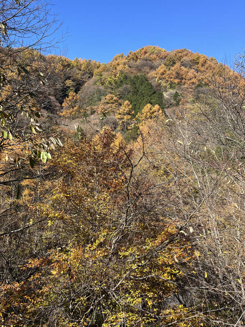 maomugiさんの花の駅・片品 花咲の湯のサ活写真