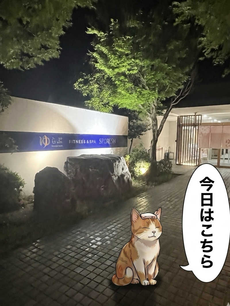 MAOMUGIさんの天然温泉 ゆらぶ桐生店のサ活写真