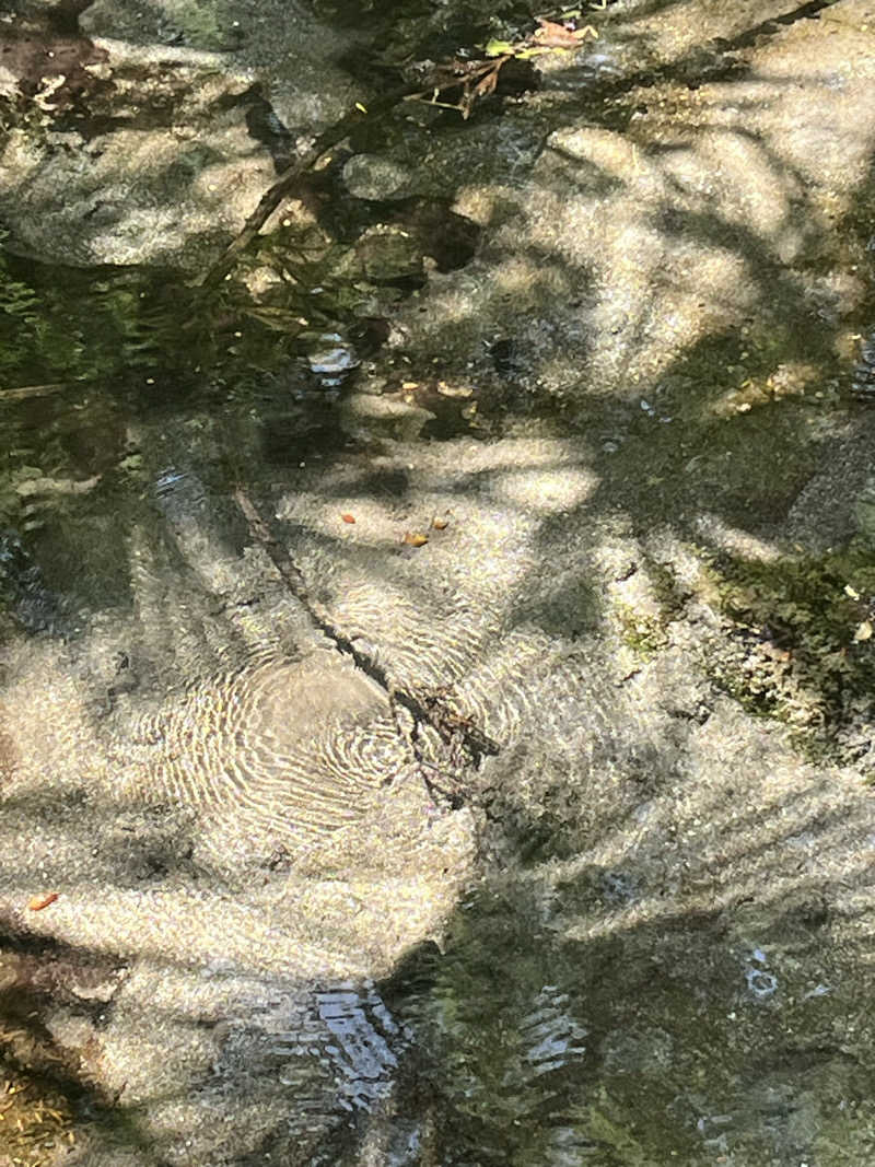 MAOMUGIさんの前橋荻窪温泉 あいのやまの湯のサ活写真