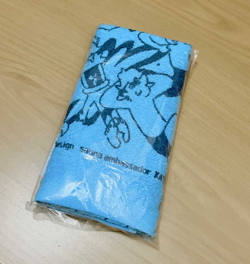 Sa-saさんの豊田挙母温泉 おいでんの湯のサ活写真