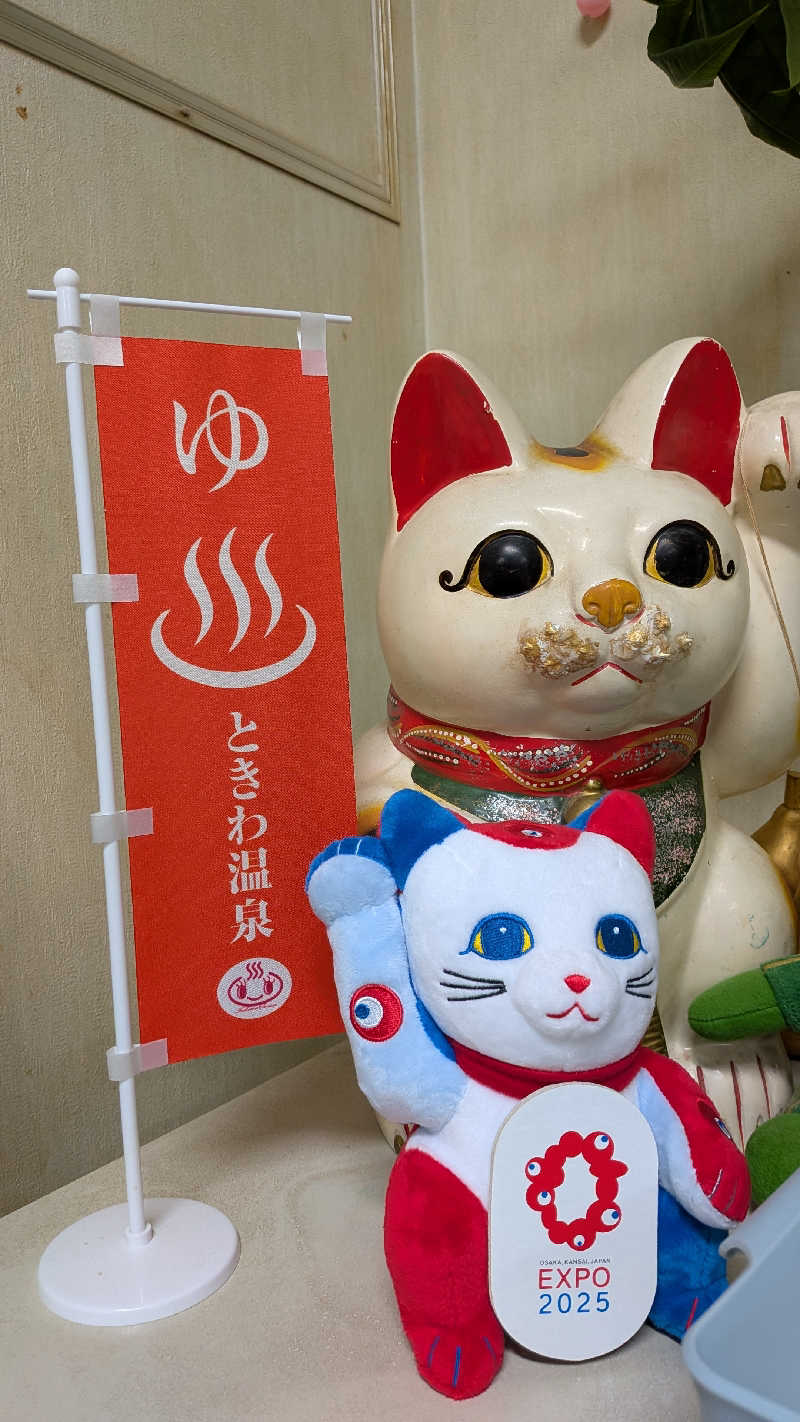 へなちょこサウナー2さんの常盤温泉のサ活写真