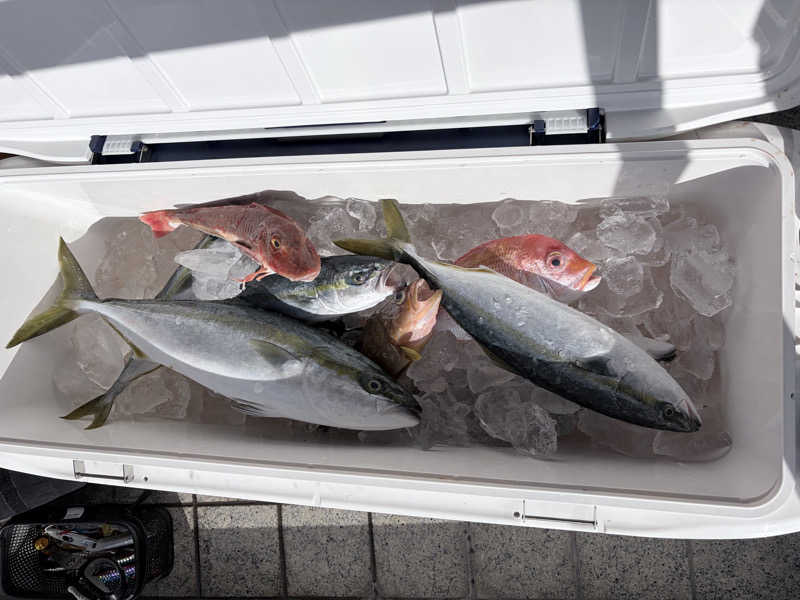 ガシガシさんのほっとらんどNANAOのサ活写真