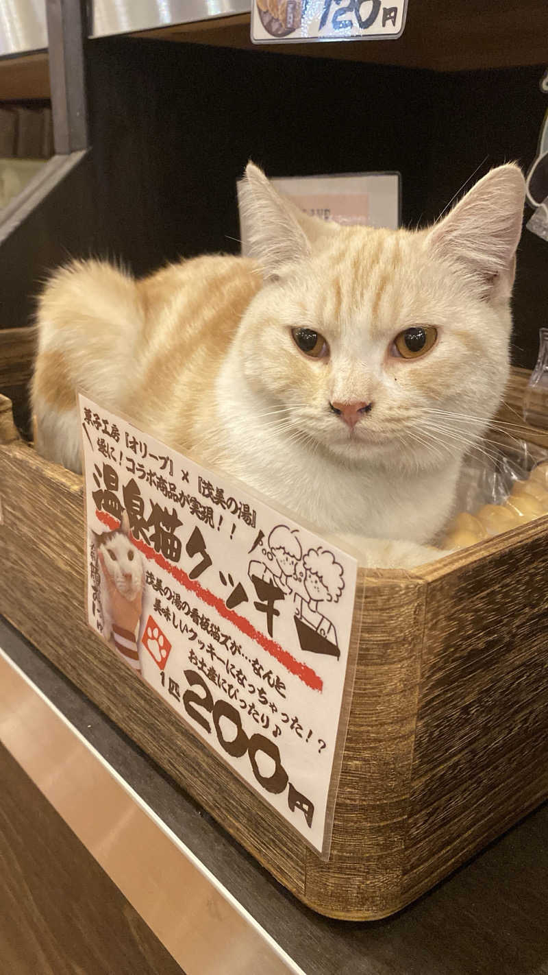 ぬ🌟さんの行田・湯本天然温泉 茂美の湯のサ活写真